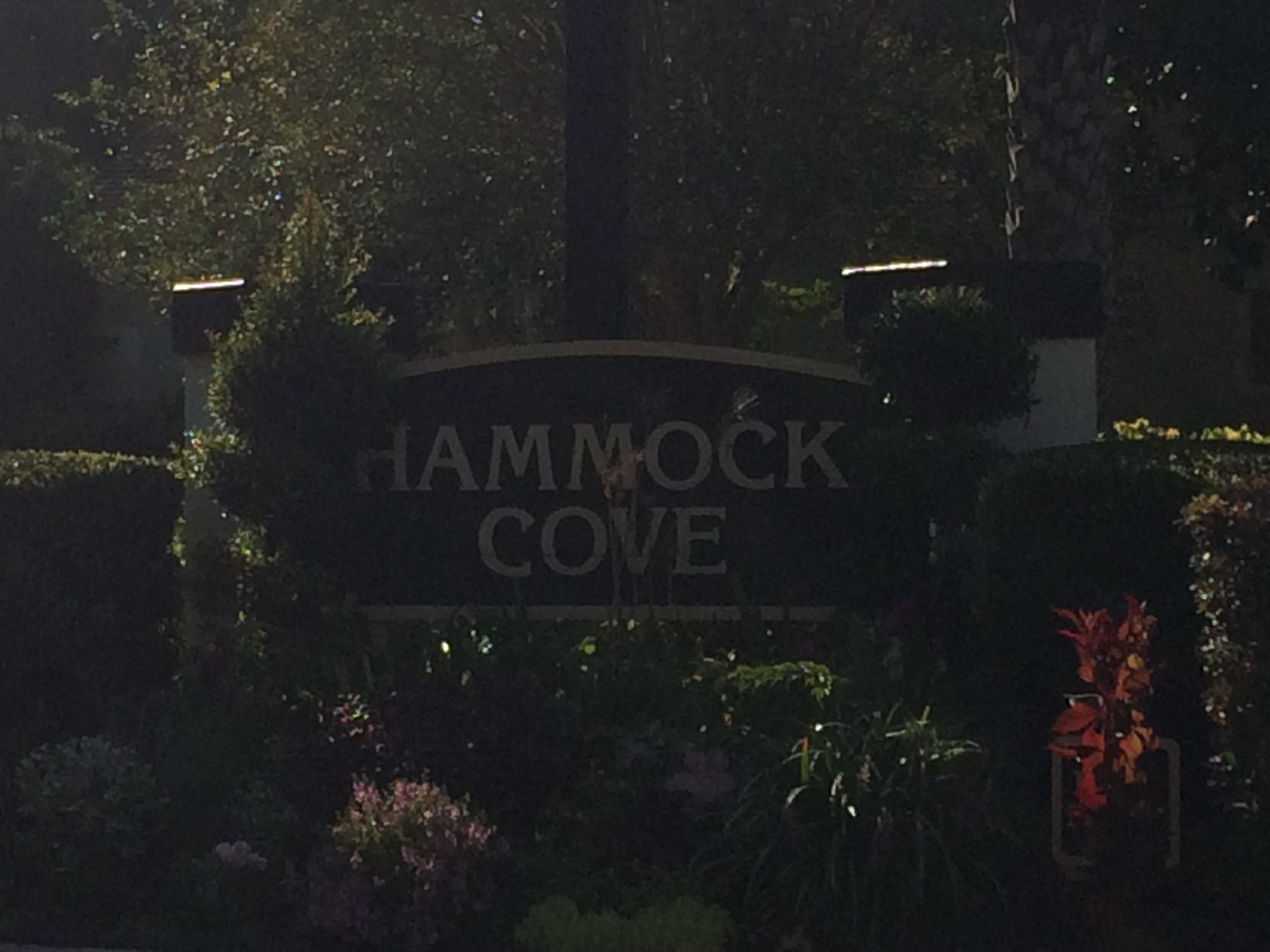 Hammock Cove in Sawgrass Country Club